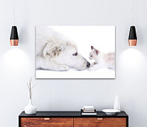 Obraz Mačiatko a pes 1562